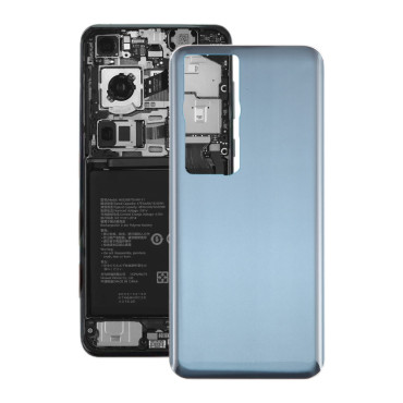 درب پشت Huawei P60 Pro gray